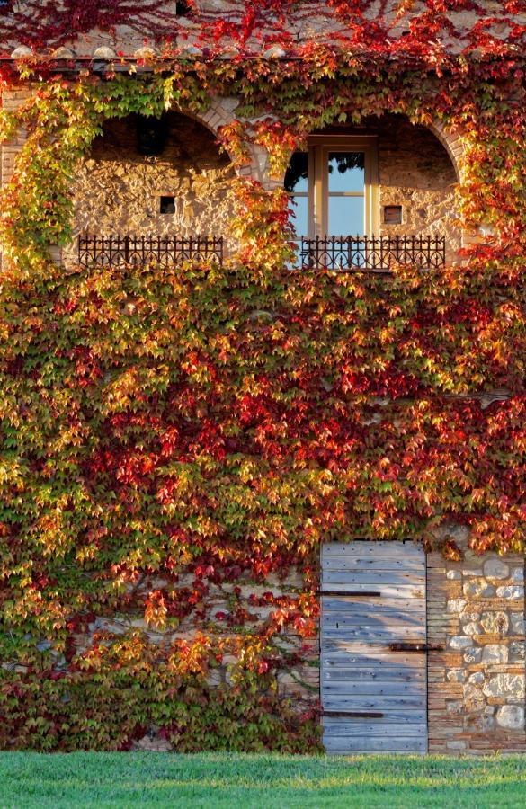 Bed and Breakfast Relais Sant'Elena à Bibbona Extérieur photo