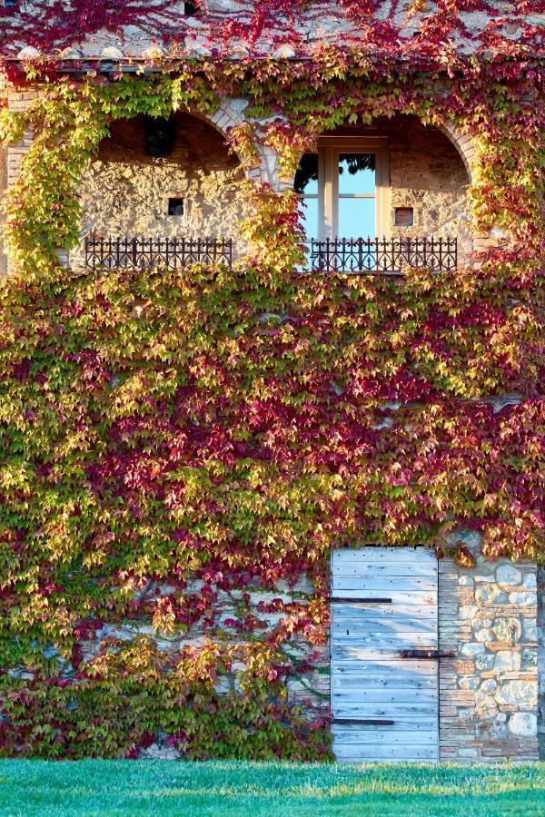 Bed and Breakfast Relais Sant'Elena à Bibbona Extérieur photo