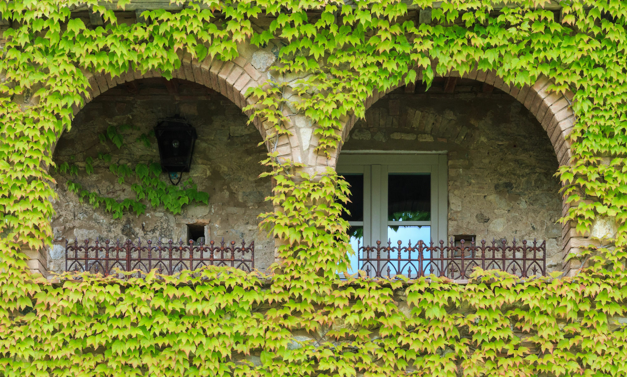 Bed and Breakfast Relais Sant'Elena à Bibbona Extérieur photo